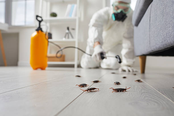 Commercial Kitchen Cockroach Control in Pleasant Hill